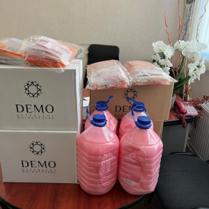 DETS sectorul Centru a realizat o nouă repartizare a unui complex de produse sanitaro-igienice în toate grădinițele subordonate
